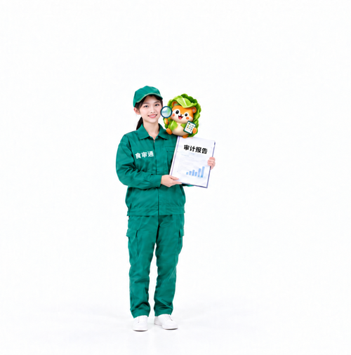 审计员手持审计报告